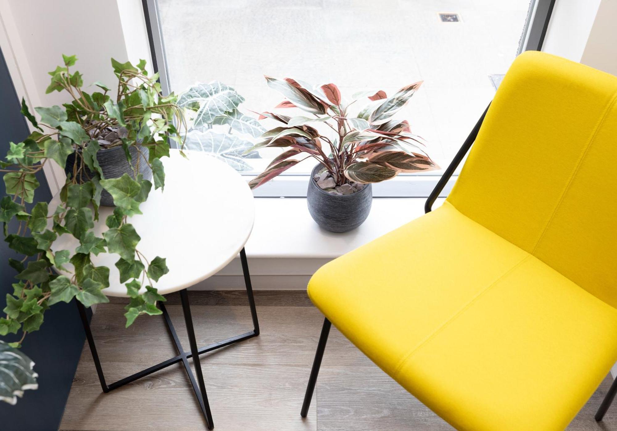 Charming Studios Near Holyrood Park & Calton Hill Единбург Стая снимка